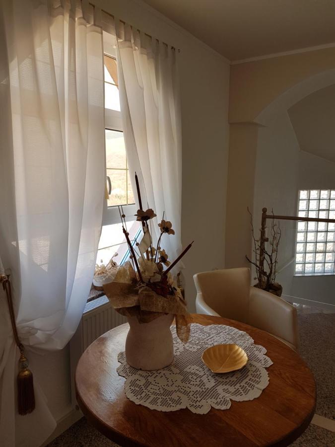 Apartments Suzana 诺维·维诺多尔斯基 客房 照片